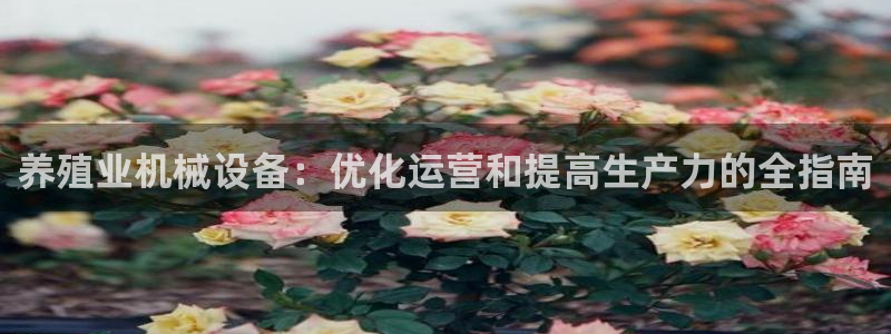 九游会ag登陆