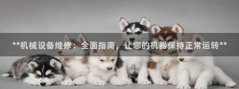 九游会登不上