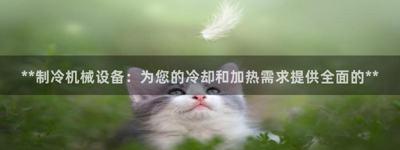 j9九游登陆