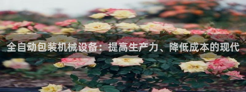J9九游会登录入口首页旧版