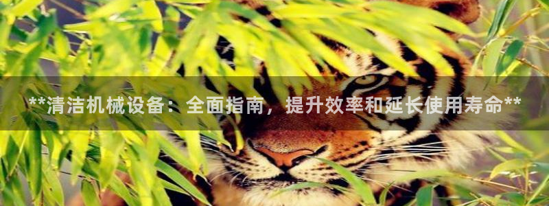 九游会视讯,九游会视讯厅