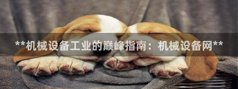 j9官网登录入口网页
