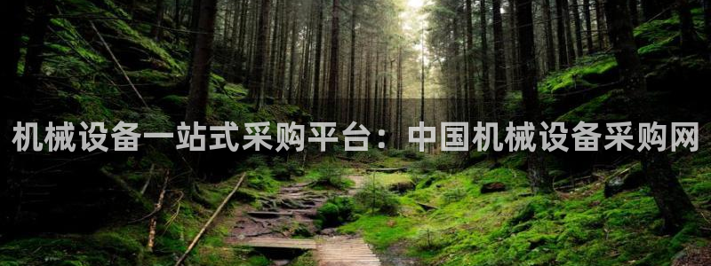 九游会ag私享