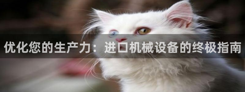 九游会网址登陆