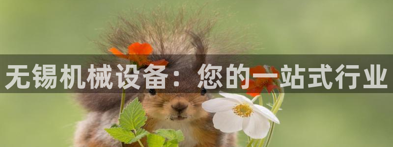 九游会国际厅有限责任公司