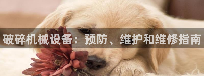 j9j4.cn