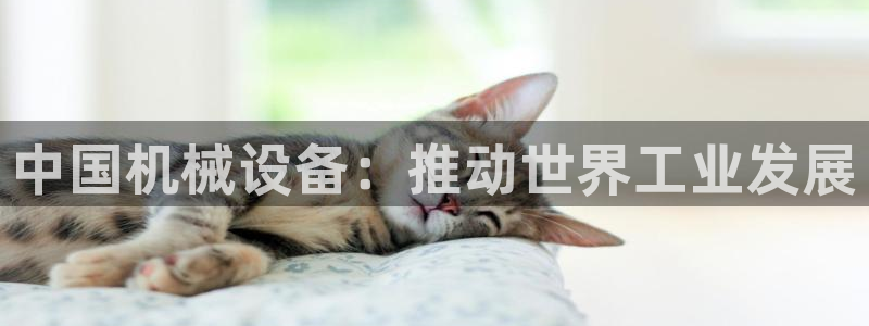 九游会 ag