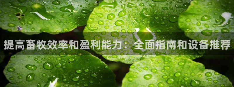 九游会j9官网