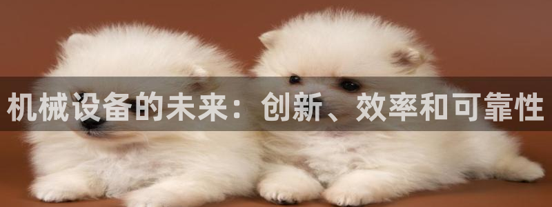 j9九游会永久域名