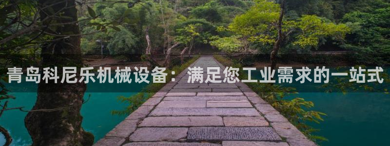 J9九游会老网站