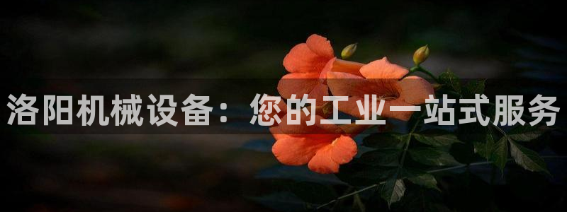 九游会老哥俱乐部必备的交流社区