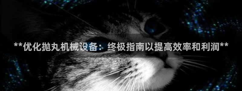 九游会ag真人官网