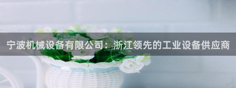 九游会官网真人认证吗知乎