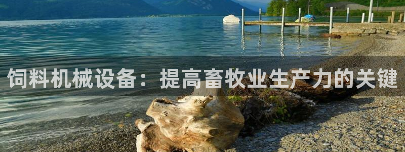 九游会AG下载手机端