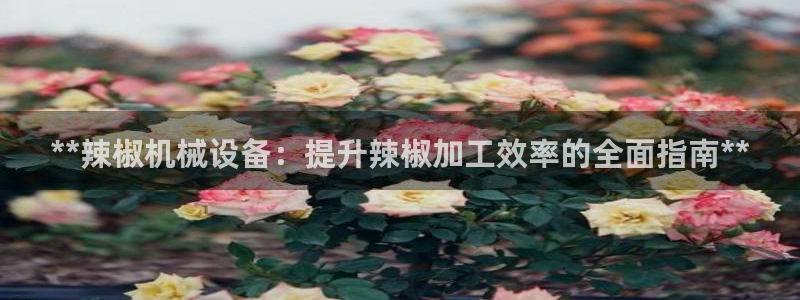 九游会官网app下载