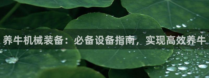 九游会提款安全吗