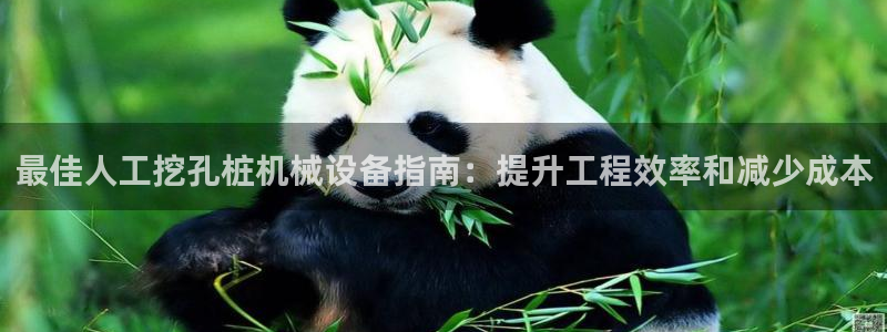 九游会官网网址是多少