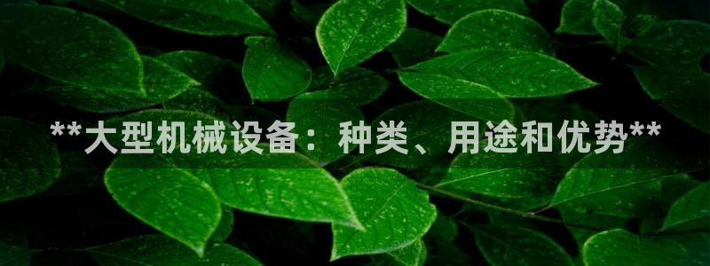 j9九游会黑网