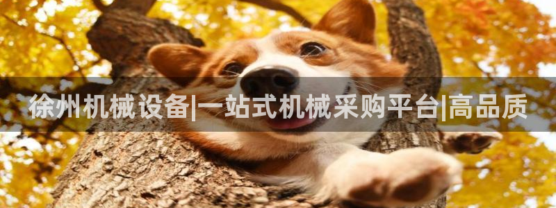 九游j9官网入口
