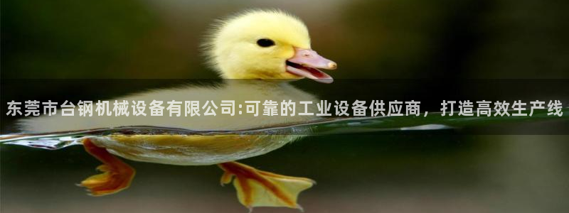 j9九游会体育