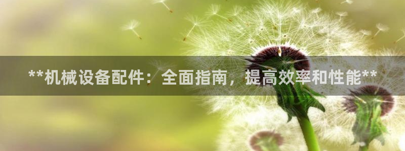 ag老玩家