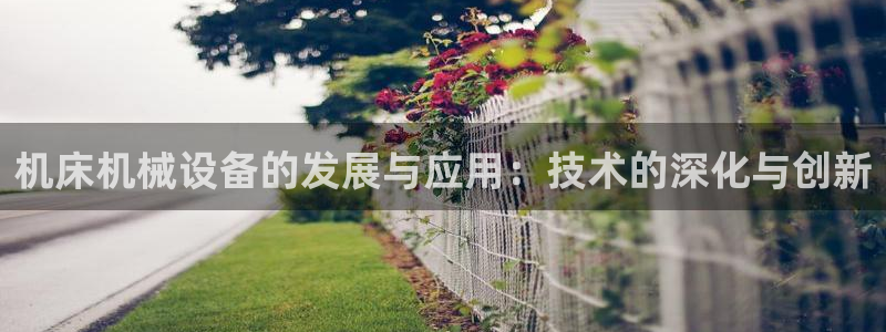 ag九游会官网网址