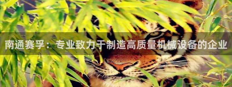 九游会网页版登录：南