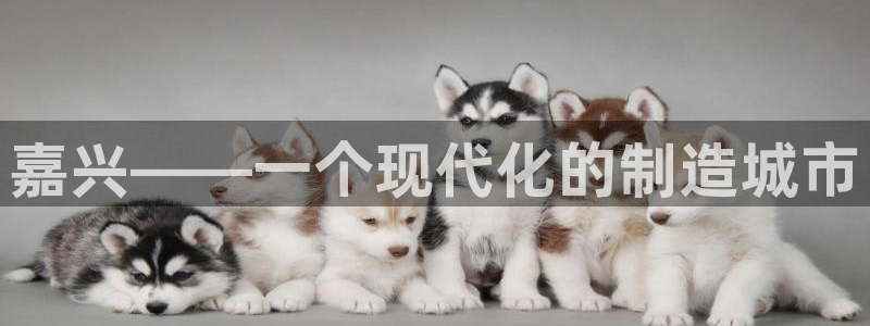 J9九游会老哥俱乐部官方