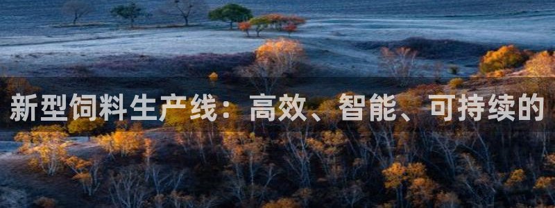 九游会app官方下载安卓