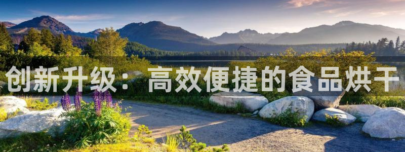 九游会最新网站