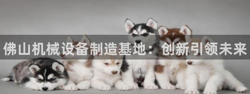 九游会倒闭