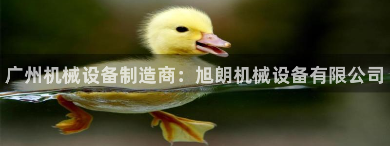 九游会官网网页版