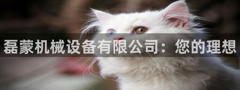 九游会国际厅有限责任公司